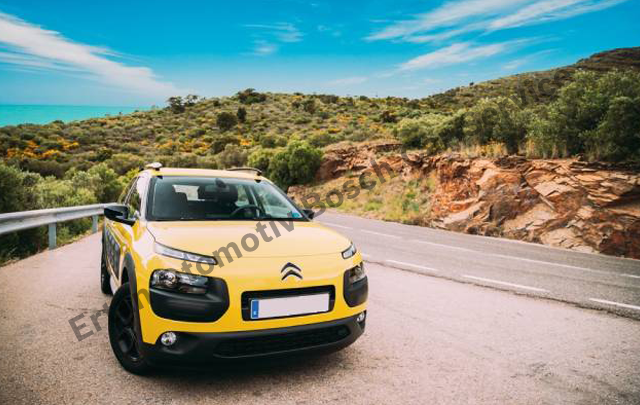 Citroen Araçlara Aydın´da Özel Servis Çözümleri